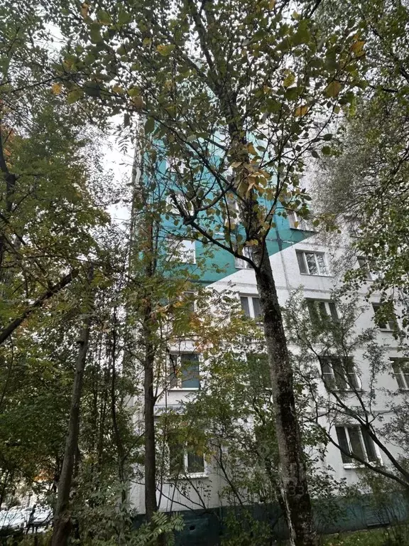 1-к кв. Московская область, Химки Юбилейный просп., 33/2 (32.0 м) - Фото 2