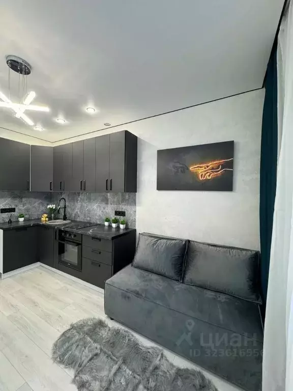 2-к кв. Татарстан, Казань ул. Сабира Ахтямова, 1к2 (60.0 м) - Фото 2