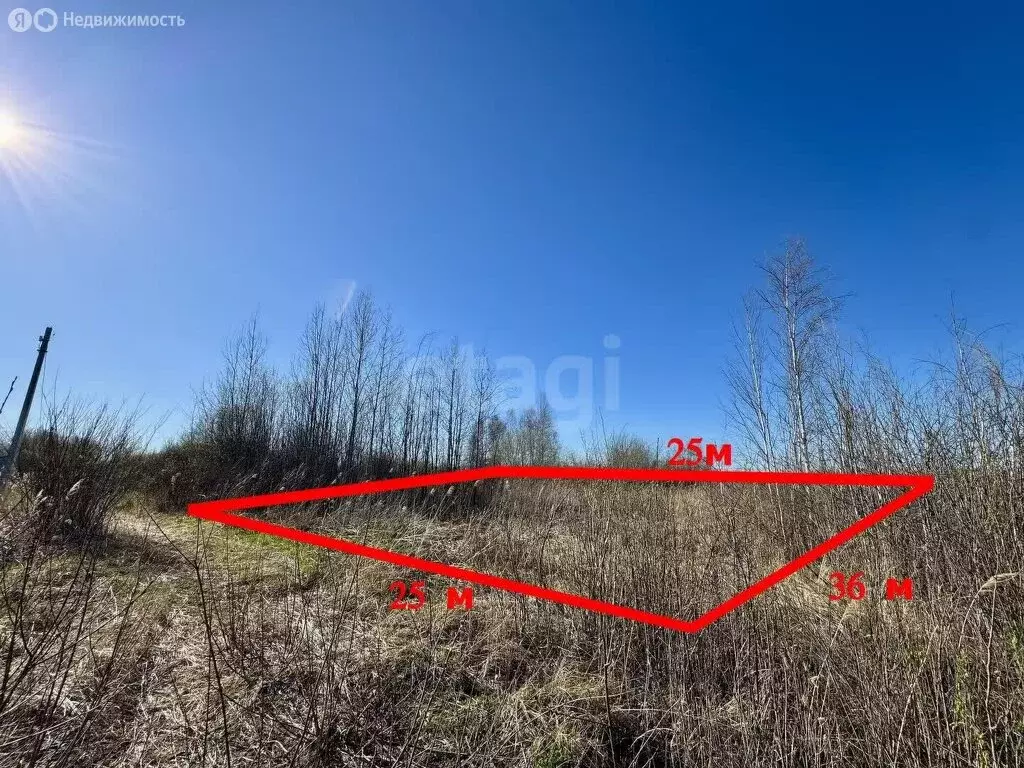 Участок в Нижнетавдинский район, СНТ Сочинские, 38-я линия (10 м) - Фото 0