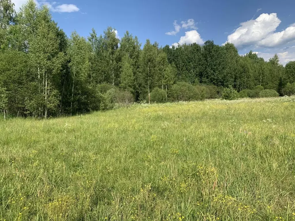 Участок в Новгородская область, Новгородский район, Савинское с/пос  ... - Фото 1