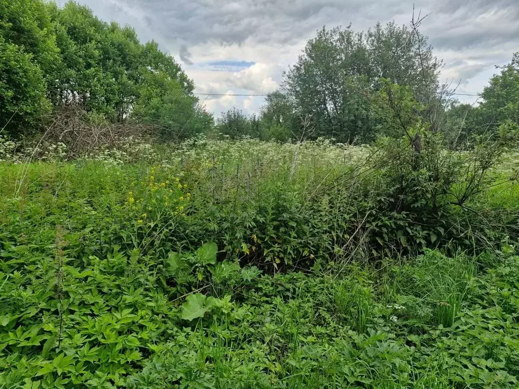 Участок в Московская область, Ступино городской округ, с. Новоселки  ... - Фото 0