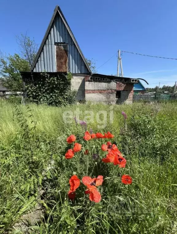 Участок в Новосибирская область, Новосибирский район, Станционный ... - Фото 0