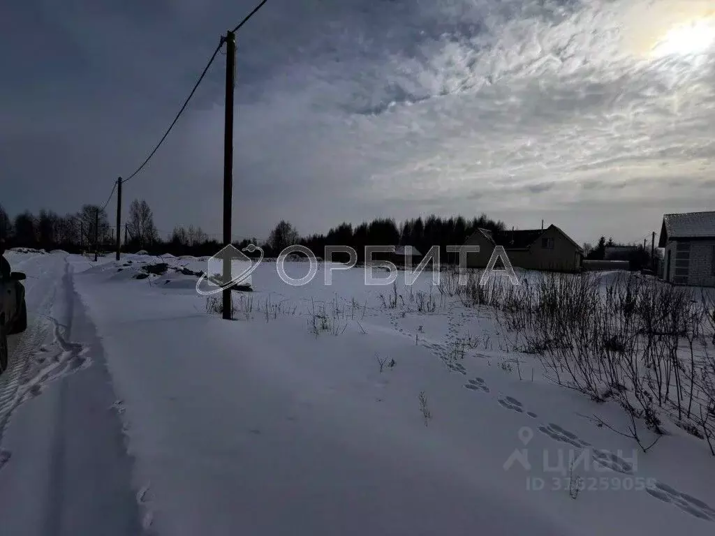 Участок в Тюменская область, Тюмень Яровское садовое товарищество, ул. ... - Фото 1
