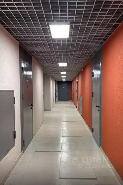 Квартира, студия, 24.7 м - Фото 1