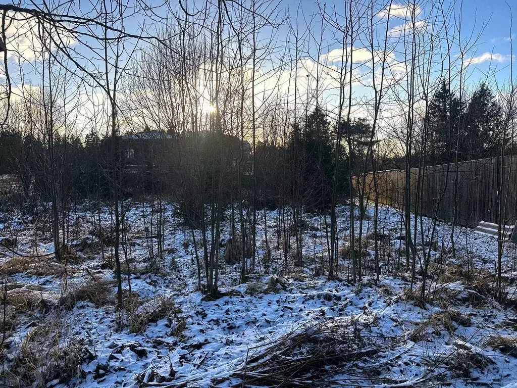 Участок в Московская область, Истра муниципальный округ, д. Дубровское ... - Фото 1