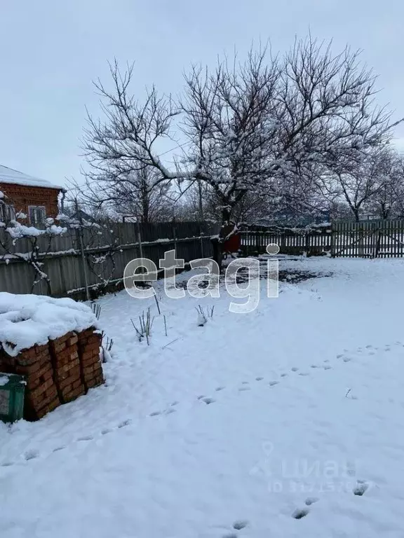 Участок в Краснодарский край, Щербиновский район, Новощербиновская ... - Фото 1