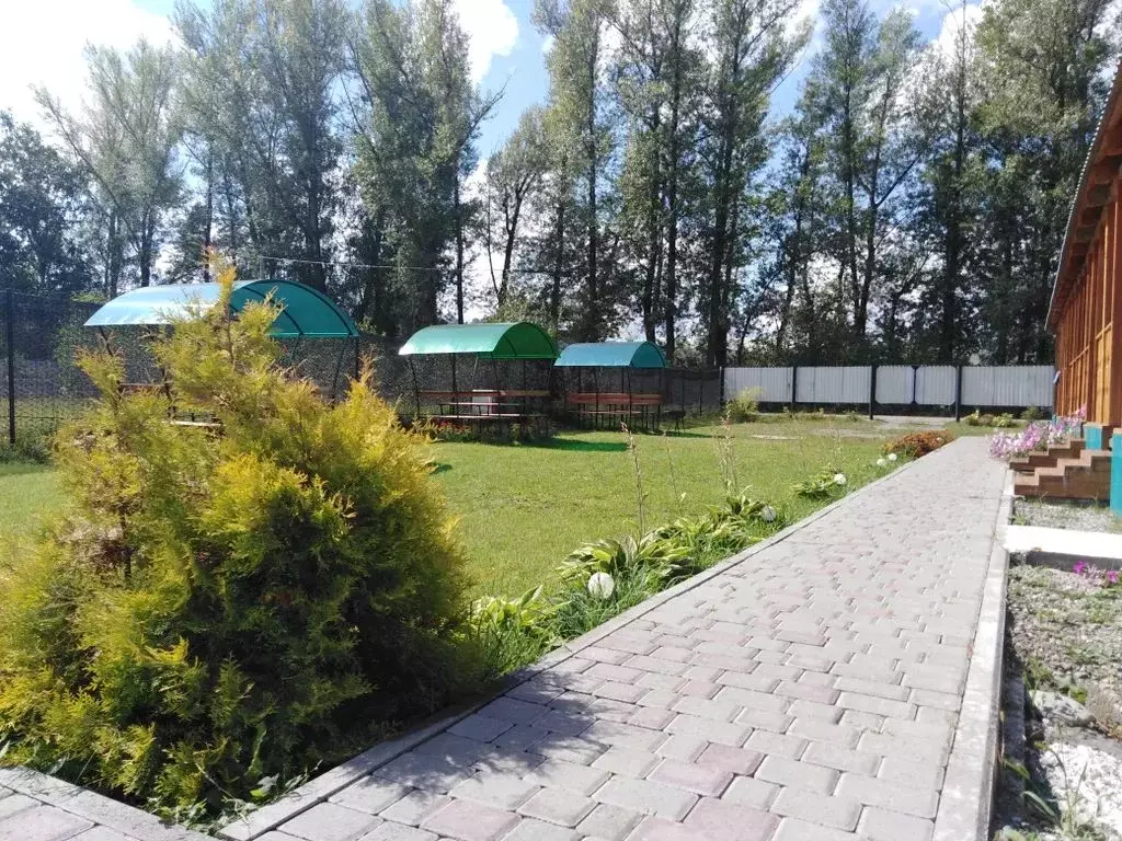 Комната Алтай, Майминский район, пос. Дубровка ул. Сафронова, 79А - Фото 1