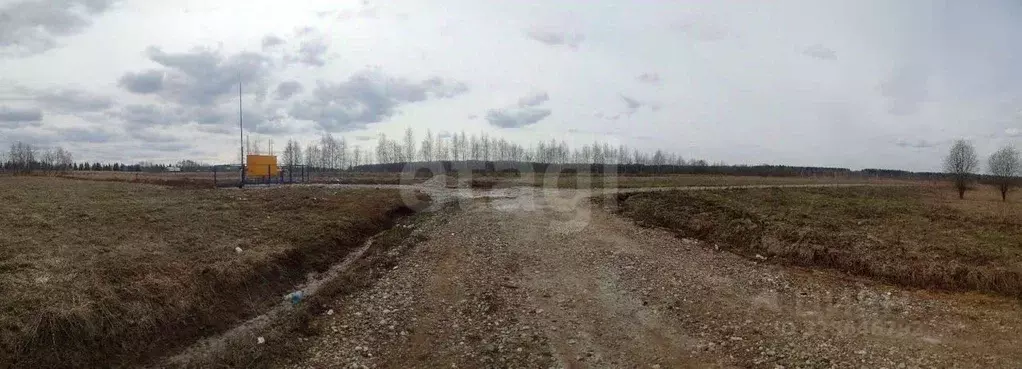 Участок в Ярославская область, Ярославский муниципальный округ, д. ... - Фото 2