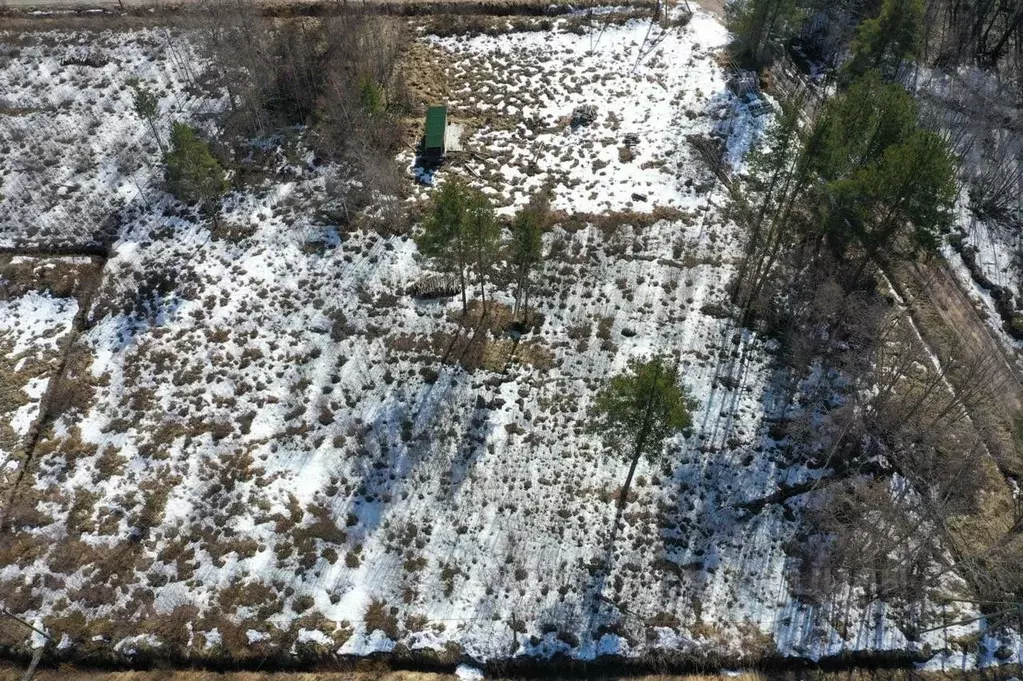Участок в Ленинградская область, Приозерский район, Ларионовское ... - Фото 1
