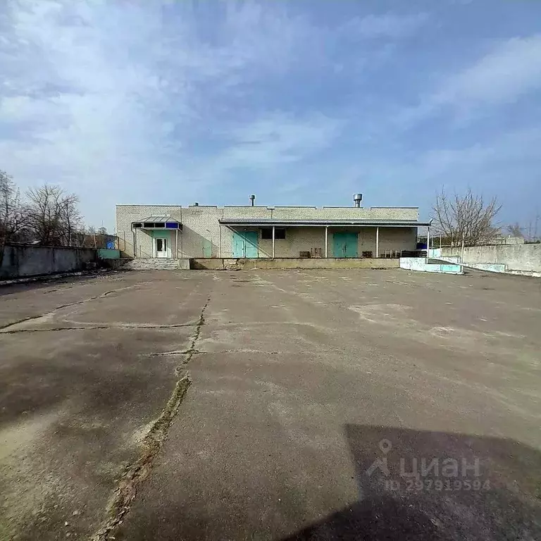 Производственное помещение в Брянская область, Сельцо ул. Строителей, ... - Фото 2