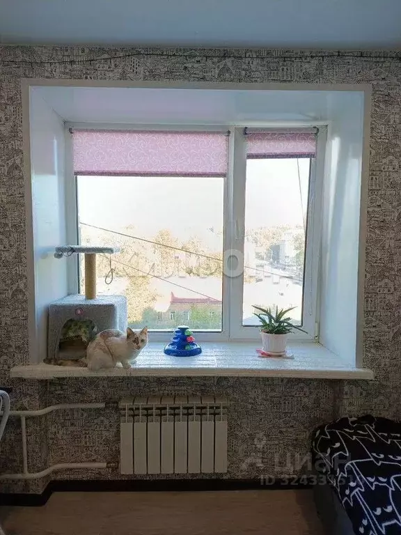 1-к кв. Томская область, Томск Учебная ул., 40 (16.8 м) - Фото 1