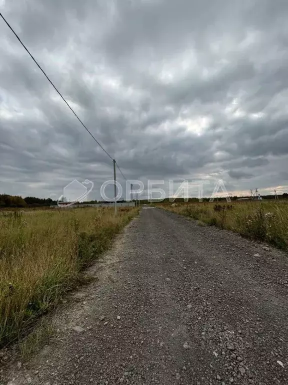 Участок в Тюменская область, Нижнетавдинский район, Царицыно СНТ ул. ... - Фото 1
