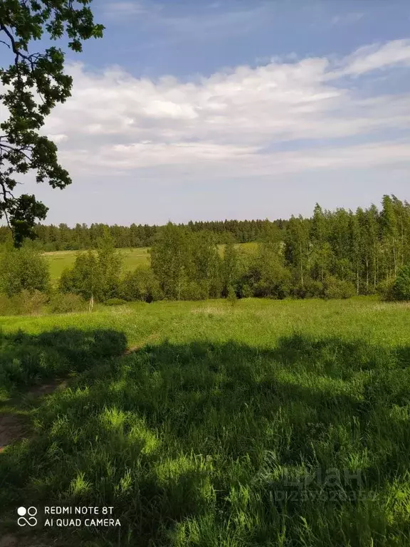 Дом в Ленинградская область, Всеволожский район, Рахья рп  (20 м) - Фото 1