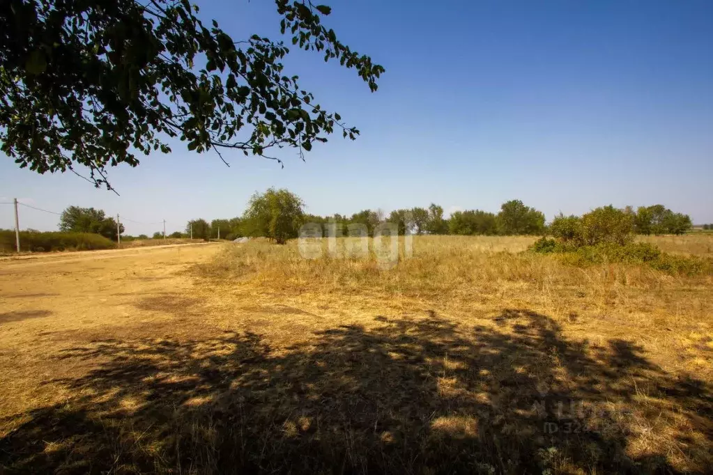 Участок в Ростовская область, Батайск Труд ДНТ, 11-я линия (8.1 сот.) - Фото 0