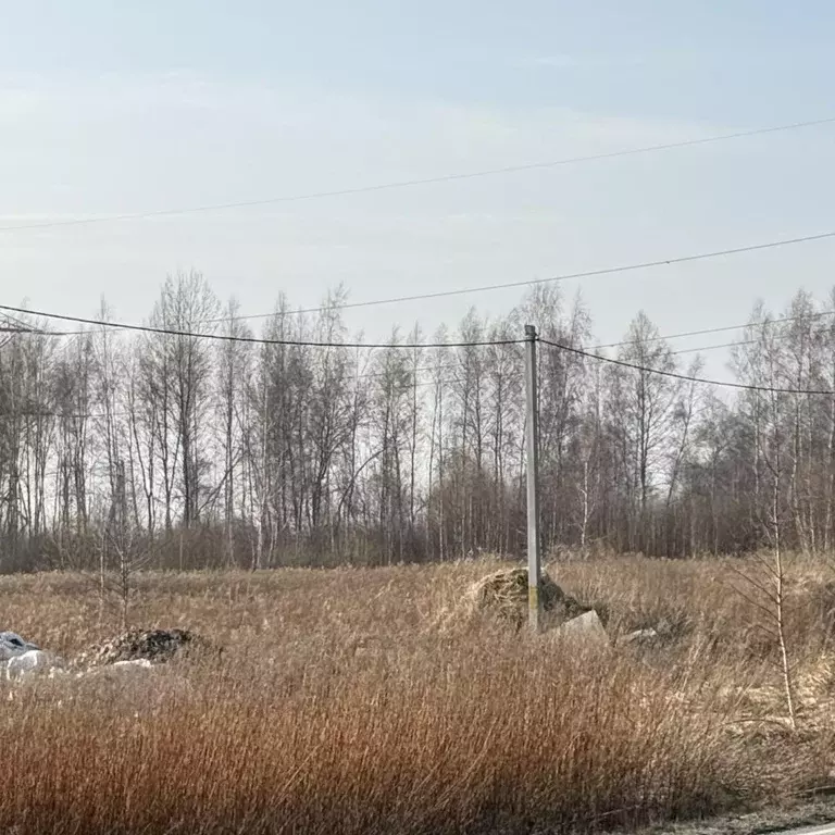 Участок в Калининградская область, Гурьевский муниципальный округ, ... - Фото 1