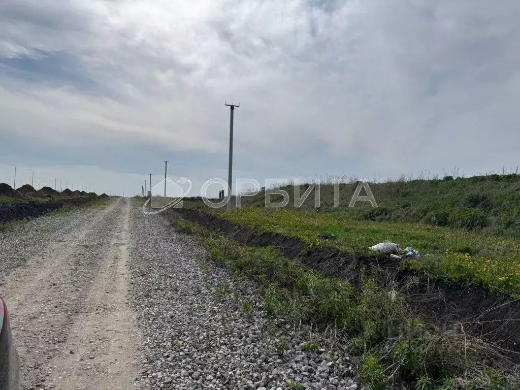Участок в Тюменская область, Тюменский район, с. Борки ул. Ильинская ... - Фото 1