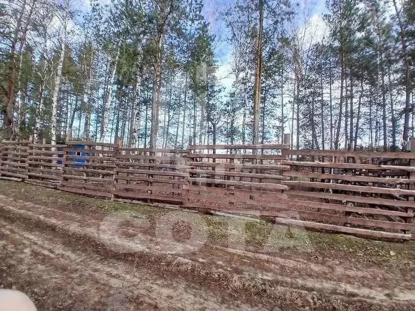 Участок в Воронежская область, Рамонский район, Райский уголок СНТ  ... - Фото 1