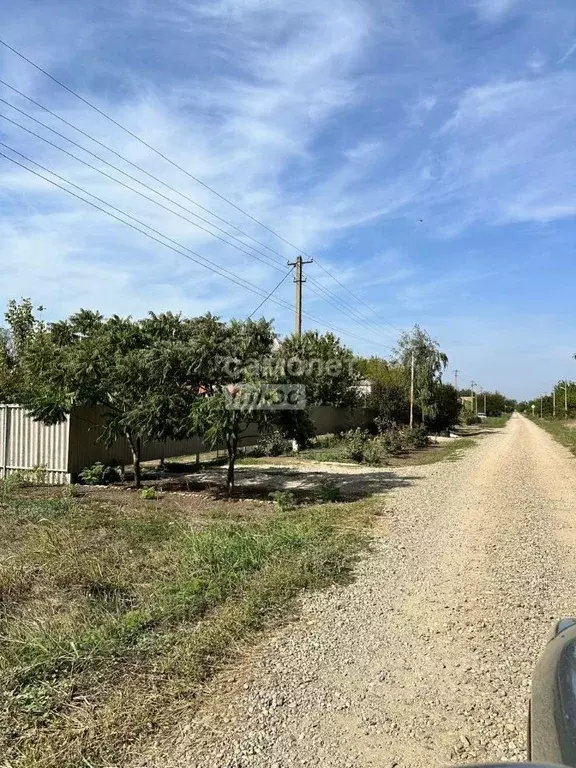 Участок в Краснодарский край, Брюховецкий район, Брюховецкая ст-ца ... - Фото 2