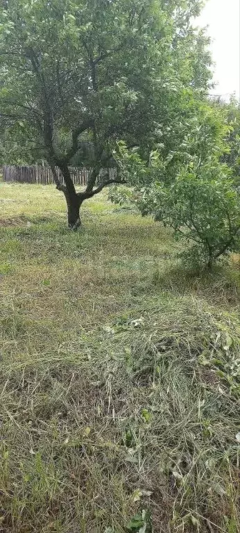 Участок в Тюменская область, Нижнетавдинский муниципальный округ, пос. ... - Фото 1