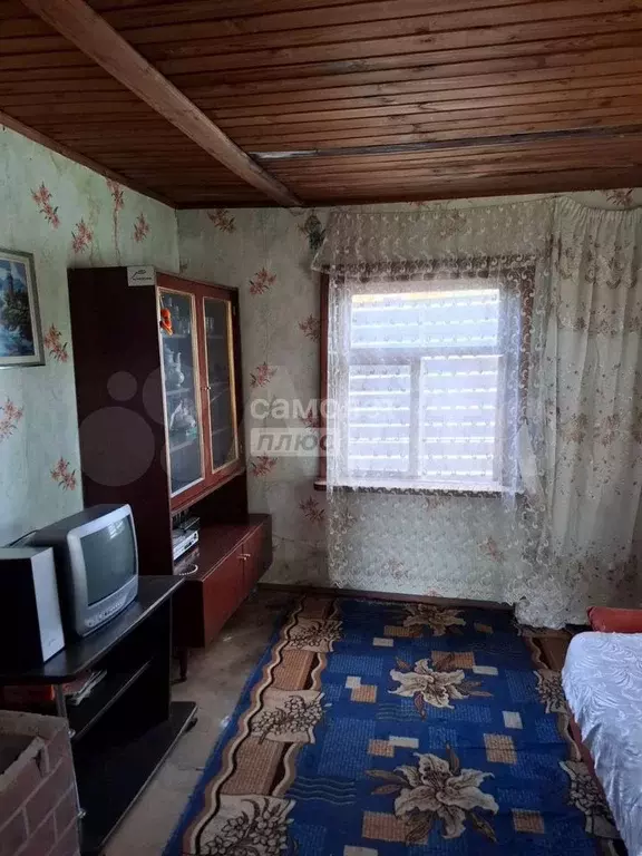 Участок 6 сот. (СНТ, ДНП) - Фото 1