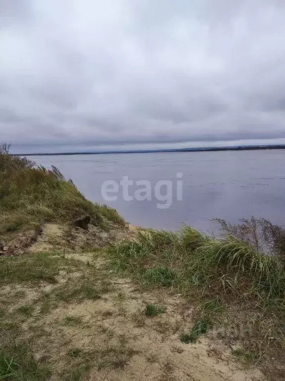 Участок в Амурская область, Благовещенский район, с. Усть-Ивановка  ... - Фото 0