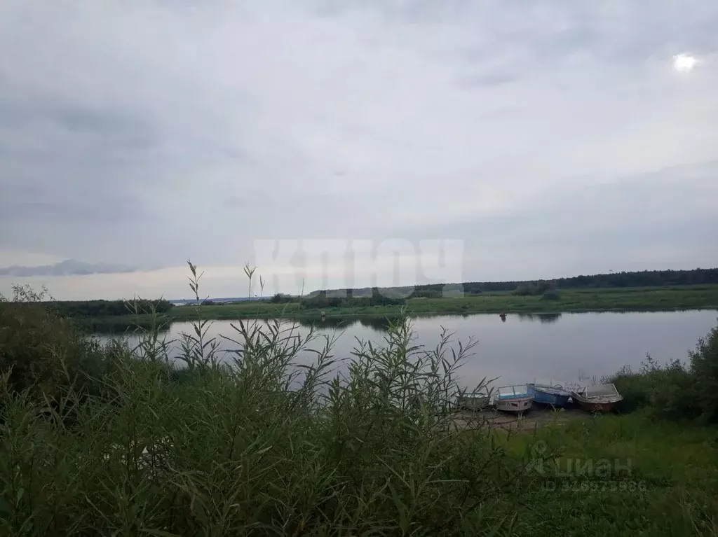 Участок в Вологодская область, Усть-Кубинский муниципальный округ, д. ... - Фото 0