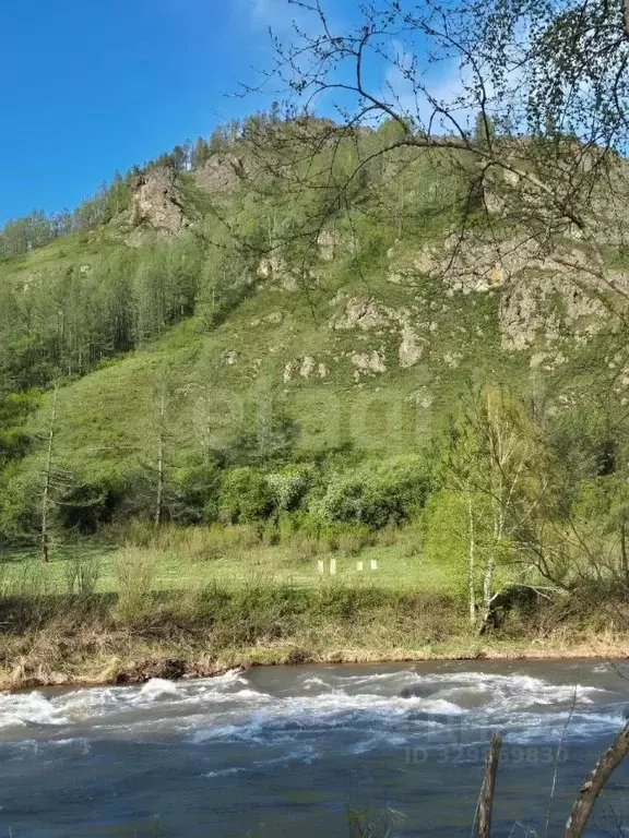 Участок в Алтай, Усть-Канский район, с. Усть-Кумир  (210.0 сот.) - Фото 1