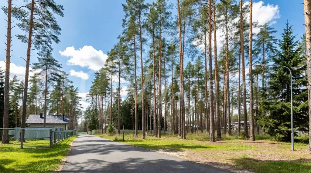 Участок в Санкт-Петербург, Санкт-Петербург, Зеленогорск ул. Танкистов ... - Фото 1