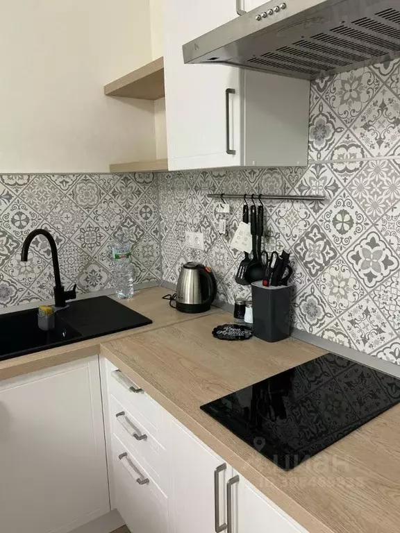 Студия Московская область, Химки городской округ, д. Рузино, ... - Фото 2