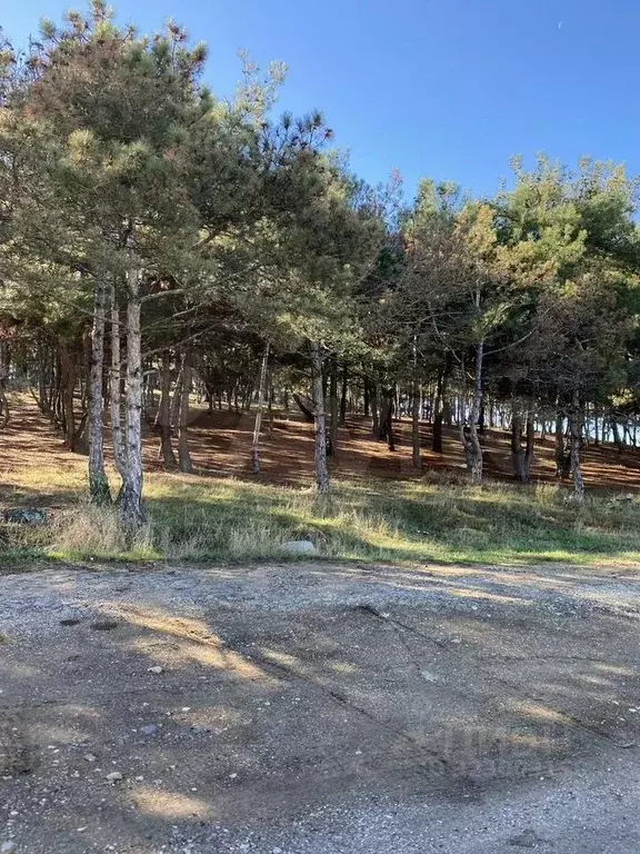 Участок в Севастополь Водоканал-1 ТСН, 32 (7.1 сот.) - Фото 1