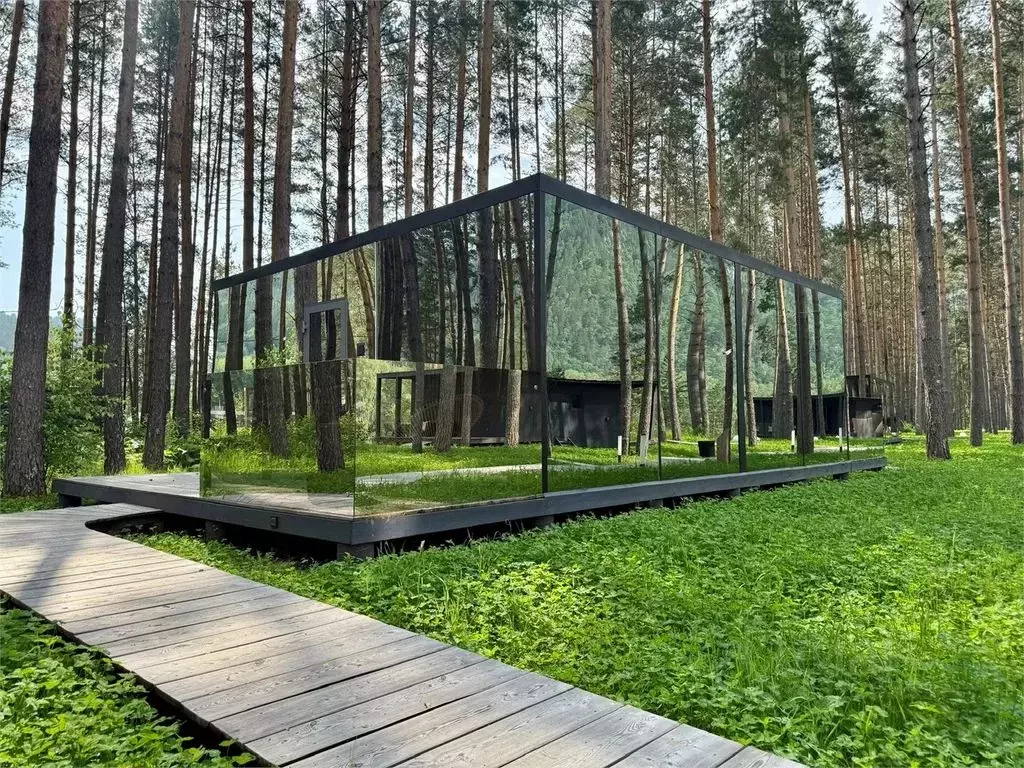 Дом в Алтай, Майминский район, с. Усть-Муны Березовая ул. (38 м) - Фото 2