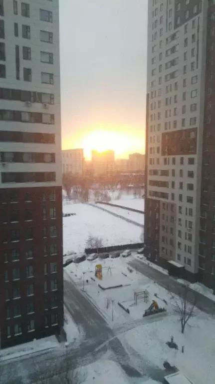 Продается 1-комнатная квартира - Фото 1