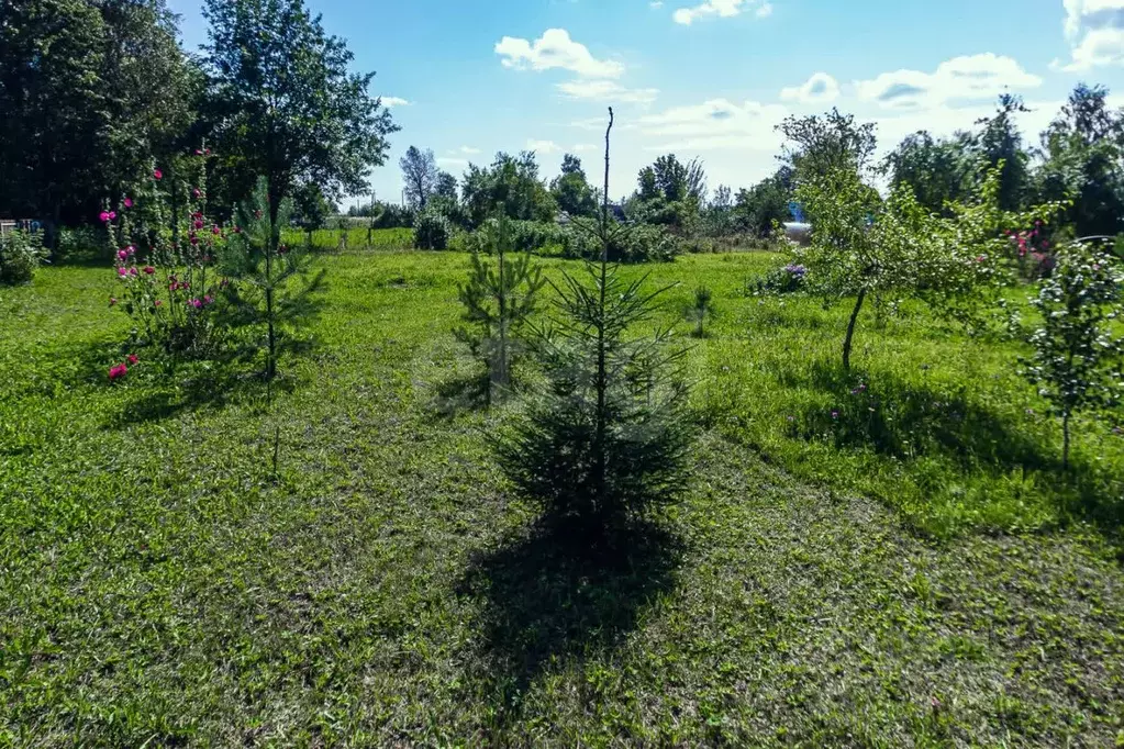 Дом в Вологодская область, д. Цыпоглазово  (12 м) - Фото 2