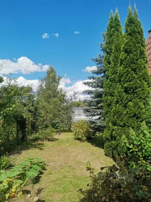 Коттедж в Московская область, Солнечногорск городской округ, Андреевка ... - Фото 2