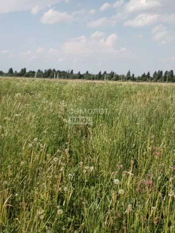 Участок в Костромская область, Кострома Сусанинская пл. (12.0 сот.) - Фото 0