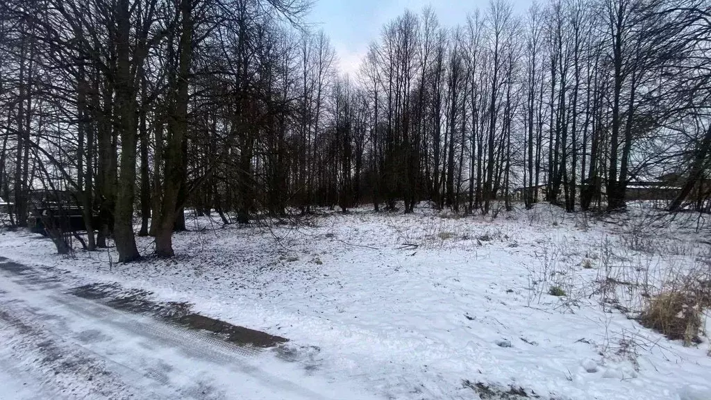 Участок в Московская область, Ступино городской округ, с. ... - Фото 0