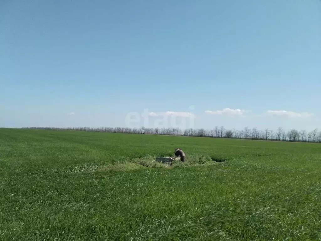 Участок в Крым, Советский район, Ильичевское с/пос, с. Надежда ул. ... - Фото 1