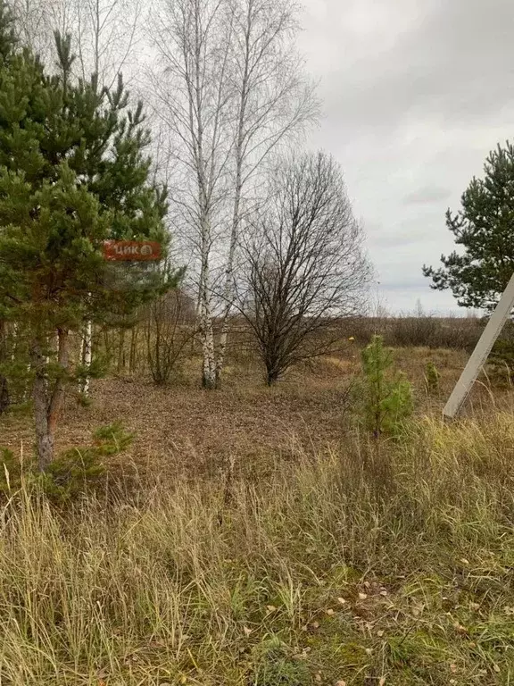 Участок в Рязанская область, Рязанский муниципальный округ, с. ... - Фото 2