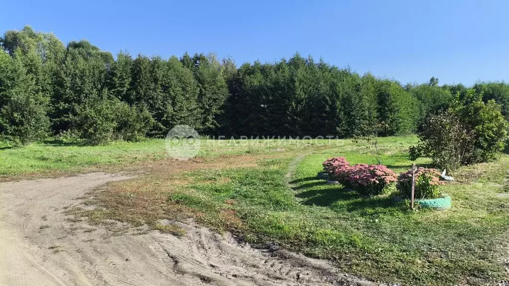 Участок в Рязанская область, Рыбное ул. Матюхина, 56 (10.0 сот.) - Фото 2