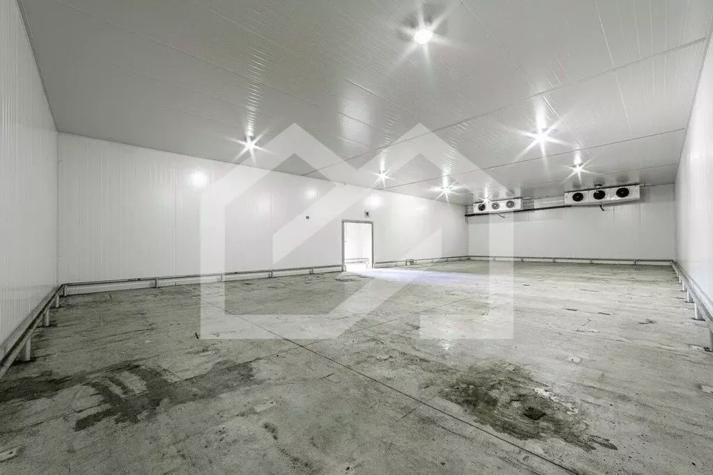 Помещение свободного назначения в Московская область, Раменское ул. ... - Фото 1