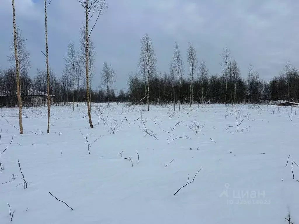 Участок в Московская область, Волоколамский муниципальный округ, ... - Фото 1