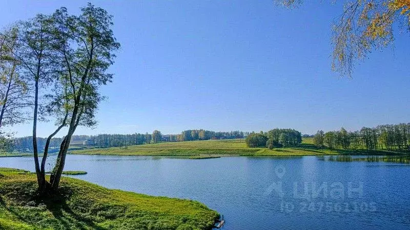 Участок в Тульская область, Заокский район, Демидовское муниципальное ... - Фото 1