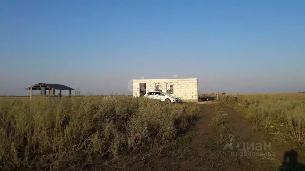 Участок в Тюменская область, с. Исетское ул. Дальняя (26.8 сот.) - Фото 1