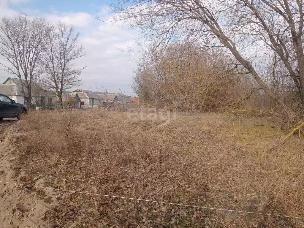 Участок в Белгородская область, Волоконовский район, Пятницкое рп ... - Фото 1