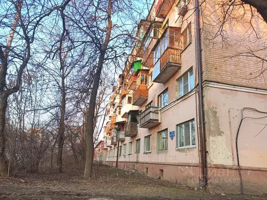 Комната Орловская область, Орел ул. Цветаева, 2 (12.2 м) - Фото 2