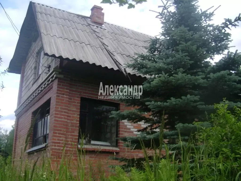 Дом в Ленинградская область, Лужский район, Мшинское с/пос, Мшинская ... - Фото 1