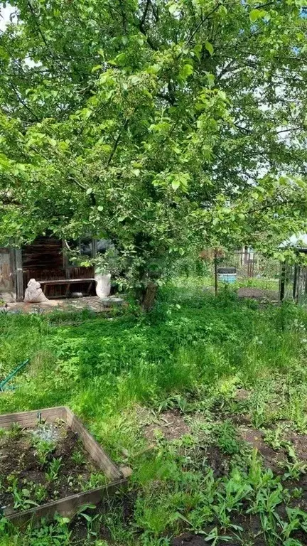 Дом в Красноярский край, Красноярск Сад № 1 ЭВРЗ СНТ, 45 (20 м) - Фото 1