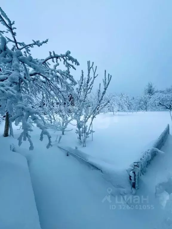 Участок в Владимирская область, Селивановский муниципальный округ, ... - Фото 2