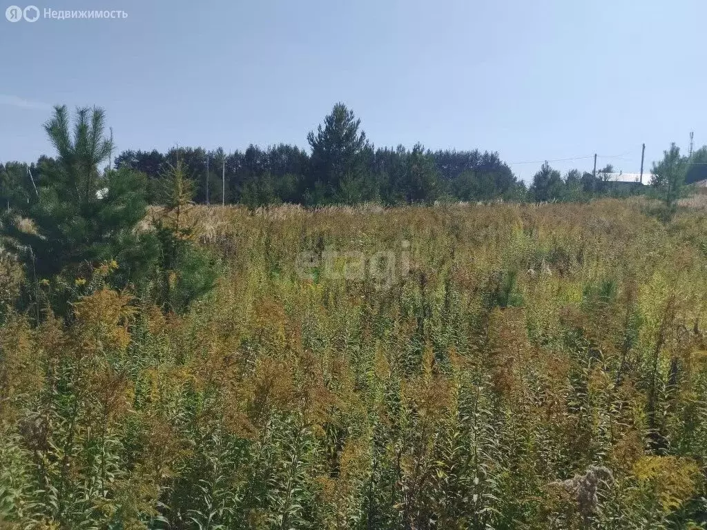 Участок в Завьяловский район, ДП Ягульские Просторы (8 м) - Фото 1