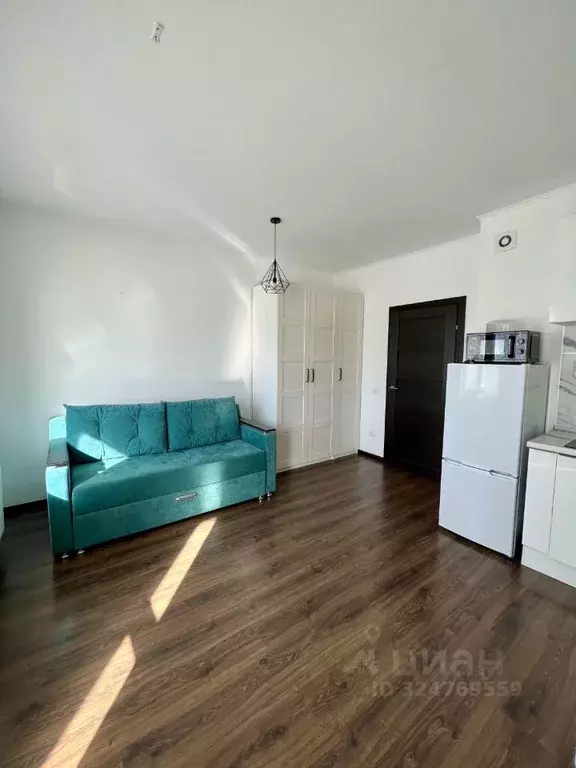 Студия Санкт-Петербург ул. Плесецкая, 20к1 (25.0 м) - Фото 2